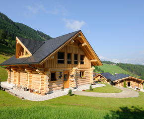 Naturstammhaus firma kodulehekülg